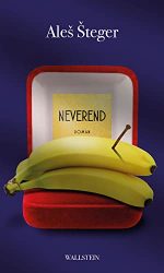 Bestseller Buch "Neverend" von Ales Steger - SWR Bestenliste Juni 2022